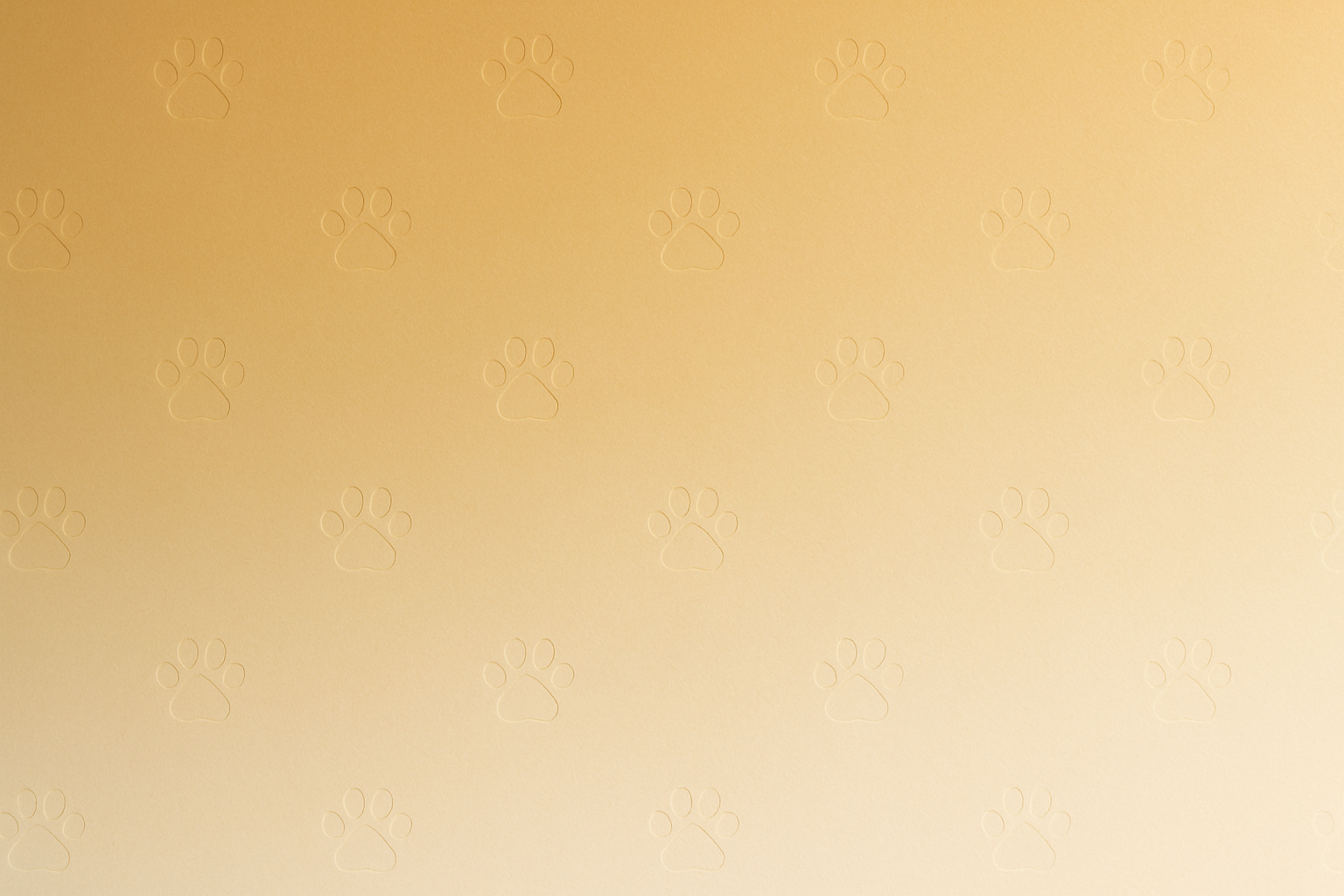 Minimal premium background for e-commerce product page. Warm honey-gold to cream gradient with subtle paw pattern. Clean, elegant, soft natural light, no clutter, no text, no watermark. Designed to place icons and trust text overlay.